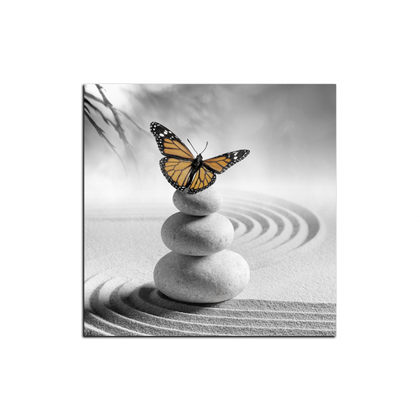 Obraz na plátně - Motýl na spa kameny - čtverec